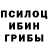 Галлюциногенные грибы ЛСД Angela Panova