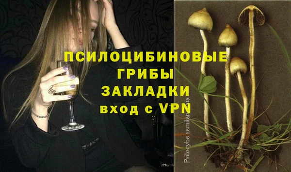 мескалин Горнозаводск